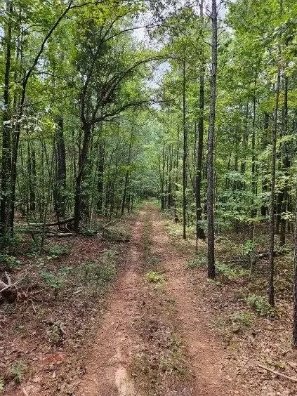 731 Cyler Rd, Gray, GA 31032 photo 2