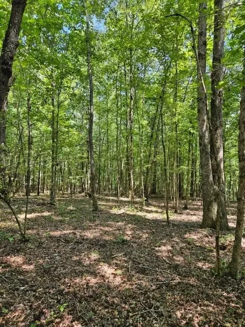 731 Cyler Rd, Gray, GA 31032 photo 3