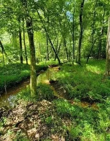 731 Cyler Rd, Gray, GA 31032 photo 6