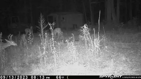 731 Cyler Rd, Gray, GA 31032 photo 16