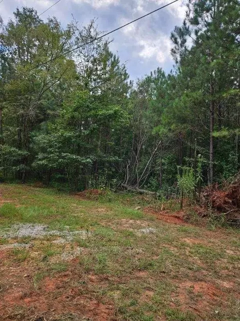 731 Cyler Rd, Gray, GA 31032 photo 5