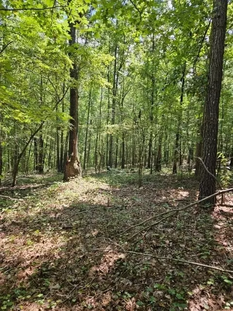 731 Cyler Rd, Gray, GA 31032 photo 8