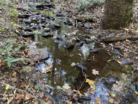 0 New Kings Bridge Rd #LOT 3, Athens, GA 30607