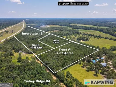 Tract One Turkey Ridge Road, Metter, GA 30439