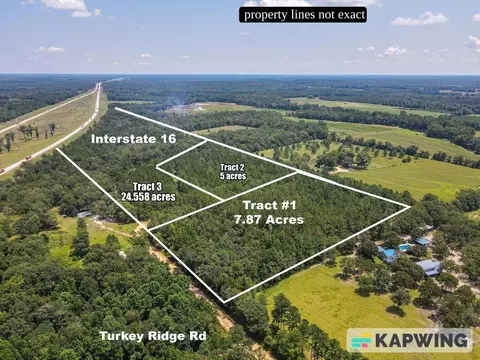 Tract Two And T Turkey Ridge Road, Metter, GA 30439