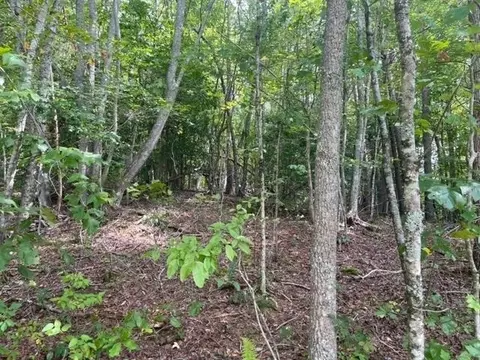 Undisclosed, Hayesville, NC 28904