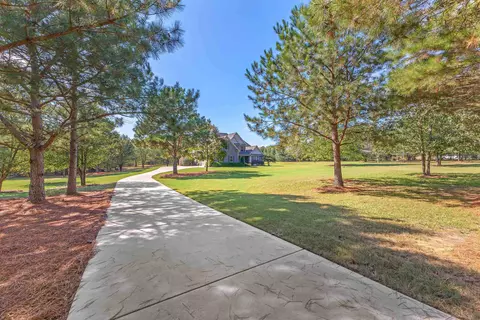 161 Brooks Rd, Brooks, GA 30205 photo 57