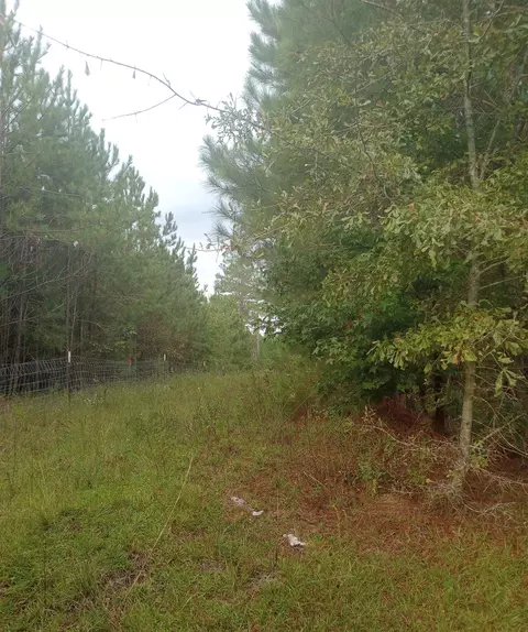 0 Salter Rd, Bartow, GA 30413