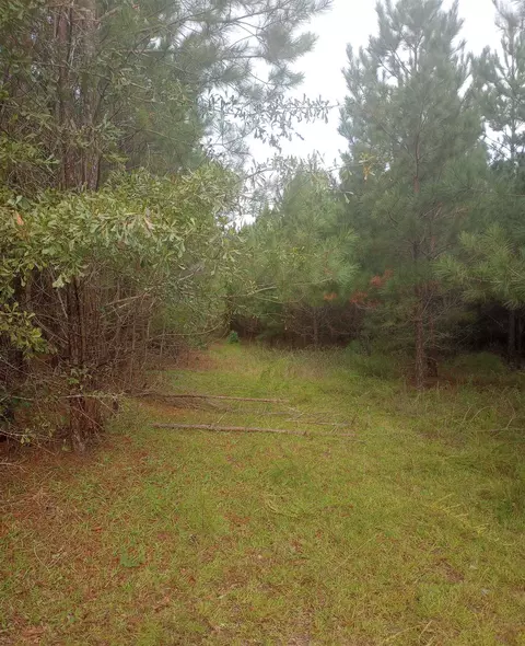 0 Salter Rd, Bartow, GA 30413 photo 2