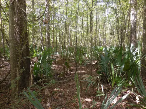 0 Lower River Rd, Eastman, GA 31023