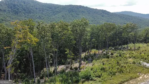 Lt229 Highgrove Drive, Talking Rock, GA 30175