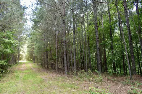 0 Nickelsville Rd, Ranger, GA 30734