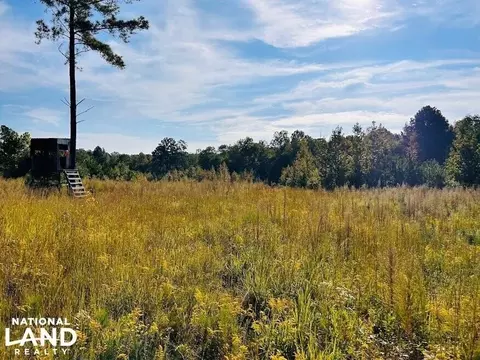 0 County Road 205, Fruithurst, AL 36226