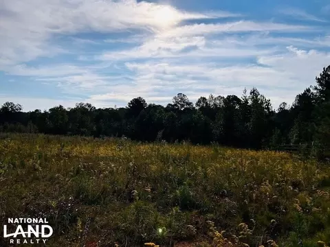 0 County Road 205, Fruithurst, AL 36226 photo 8