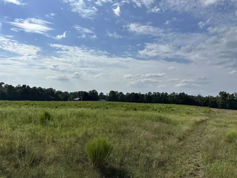 60 Mcdonald Rd, Covington, GA 30014 photo 52
