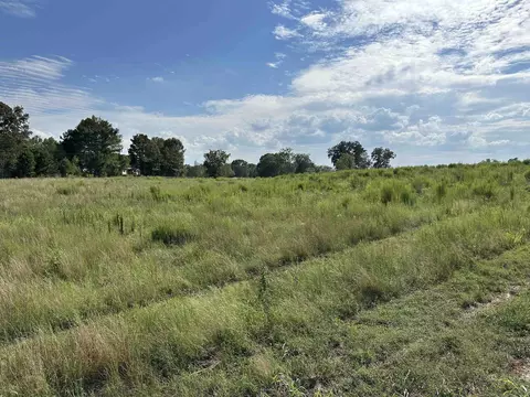 60 Mcdonald Rd, Covington, GA 30014 photo 60