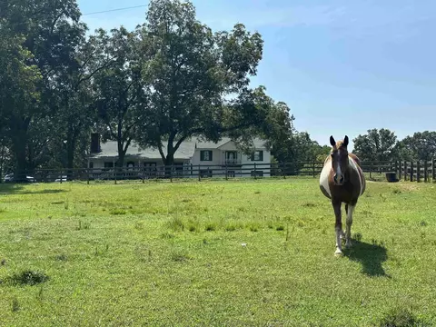 60 Mcdonald Rd, Covington, GA 30014 photo 38