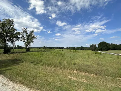 60 Mcdonald Rd, Covington, GA 30014 photo 49