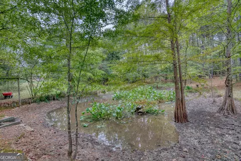 6784 Blacks Bluff Rd SW, Cave Spring, GA 30124 photo 39