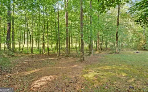233 Tabitha Page Ln, Toccoa, GA 30577 photo 35