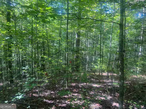 0 Conasauga Dr #LOT 13, Ellijay, GA 30540