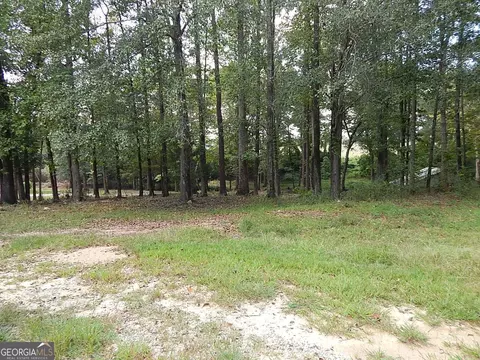 757 E 759 E Cruselle St, Roberta, GA 31078 photo 41
