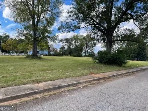 0 Daniel St Washington Stcircle E Walker St, Thomaston, GA 30286 photo 5