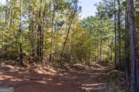 460 Yarbrough Mill Rd, Williamson, GA 30292 photo 7