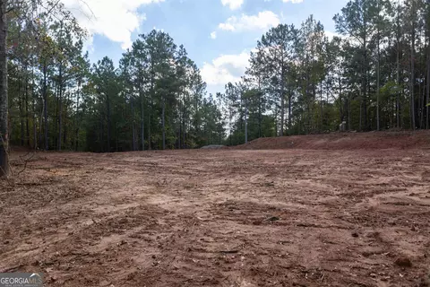 460 Yarbrough Mill Rd, Williamson, GA 30292 photo 10