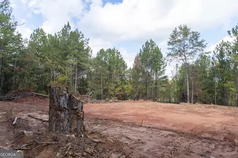 460 Yarbrough Mill Rd, Williamson, GA 30292 photo 11