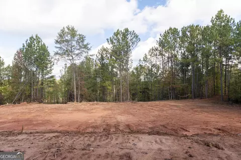 460 Yarbrough Mill Rd, Williamson, GA 30292 photo 9