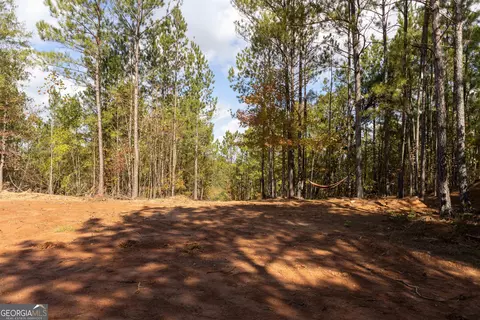 460 Yarbrough Mill Rd, Williamson, GA 30292 photo 13