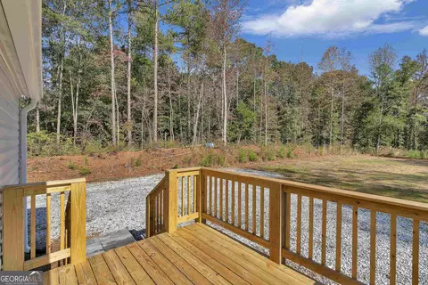 833 Shepard Rd, Carnesville, GA 30521 photo 9