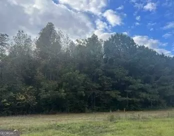 0 Trice Rd, Barnesville, GA 30204 photo 2