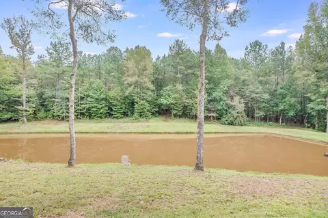 5461 County Road 278, Five Points, AL 36855 photo 42