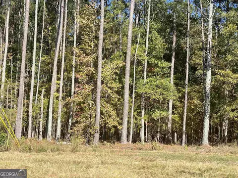 0 Frog Rd, Locust Grove, GA 30248