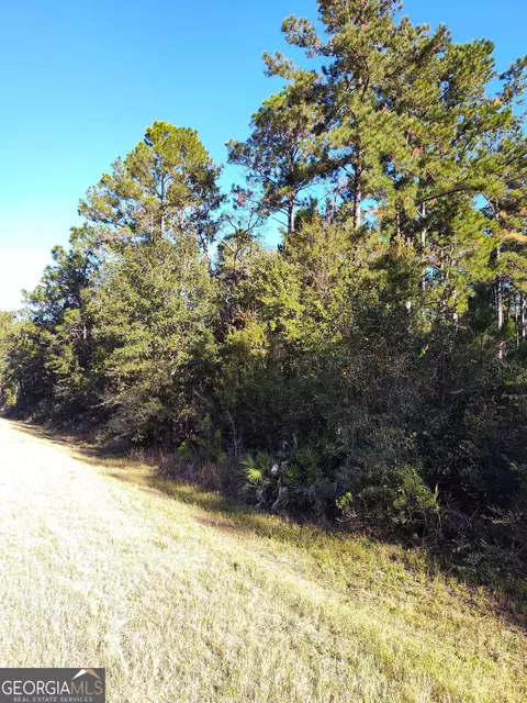 0 Hwy 185 Hwy, Saint George, GA 31562