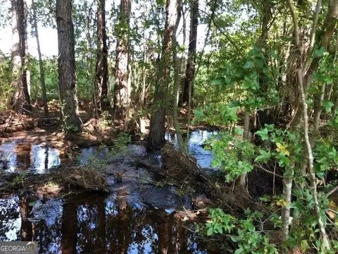0 Old Macon Rd, Dublin, GA 31021 photo 9