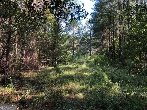 0 Old Macon Rd, Dublin, GA 31021 photo 5
