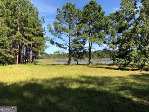 0 Old Macon Rd, Dublin, GA 31021 photo 3