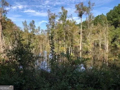0 Old Macon Rd, Dublin, GA 31021 photo 6