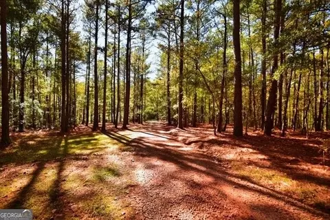 895 Mccosh Mill Rd, Lagrange, GA 30240 photo 77