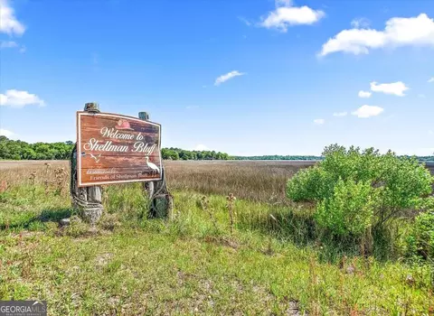 lot543 Coopers Pt, Townsend, GA 31331