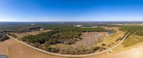 865 Holt Rd, Wray, GA 31798 photo 3