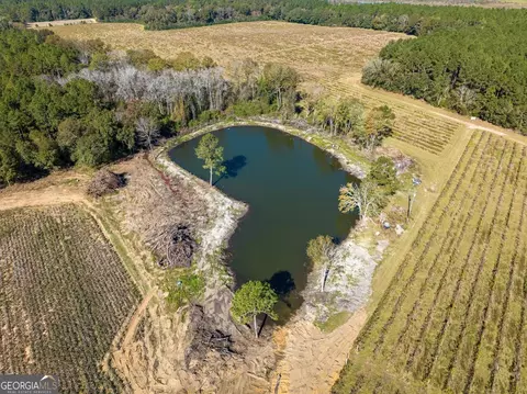 865 Holt Rd, Wray, GA 31798 photo 29