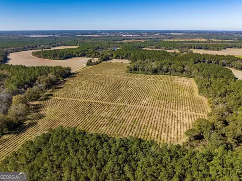 865 Holt Rd, Wray, GA 31798 photo 33