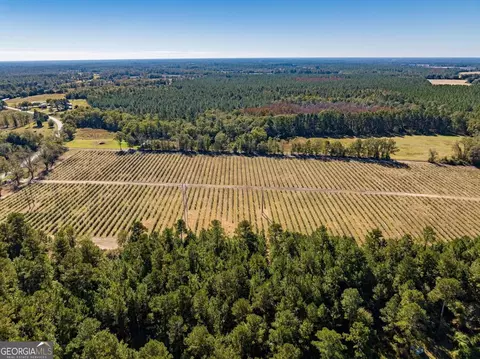865 Holt Rd, Wray, GA 31798 photo 30