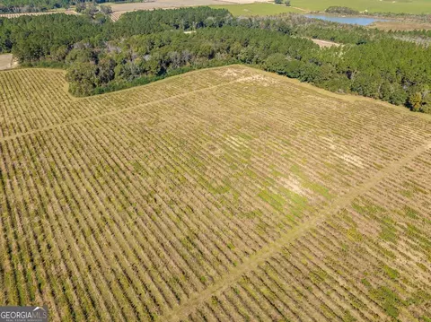 865 Holt Rd, Wray, GA 31798 photo 32