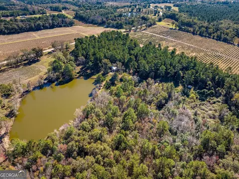 865 Holt Rd, Wray, GA 31798 photo 5