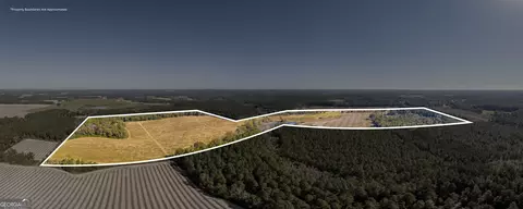 865 Holt Rd, Wray, GA 31798 photo 35